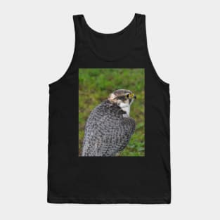 Peregrine falcon Tank Top